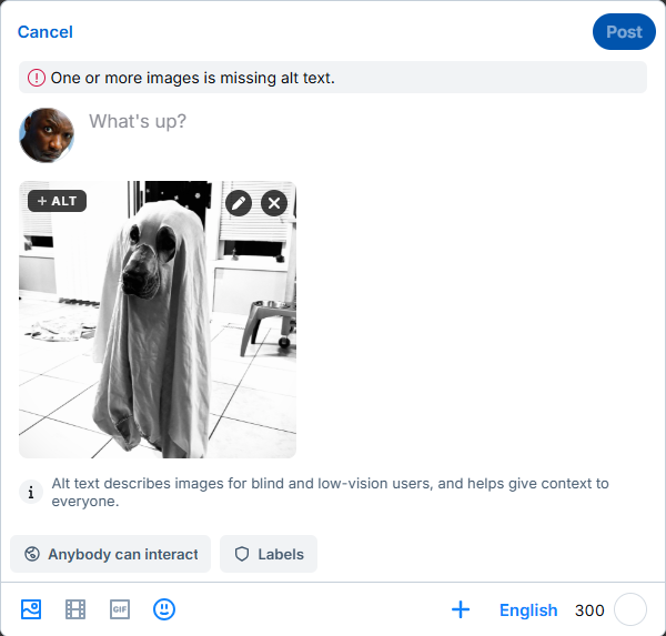A user has opened the BlueSky post composer window and appears to be ready to post an image. They are being warned that "One or more images is missing alt text." The "Post" button at top right of the composer window is greyed out, meaning that they'll be unable to post.