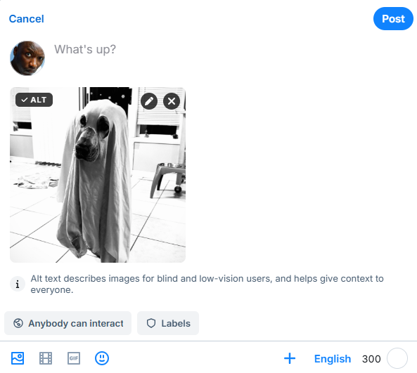 The BlueSky post composer window is open. There's no text in there, but the image that's been uploaded has a small overlay at top left--it's the word "ALT" beside a small checkmark. That means that alt text has been added to the image. The "Post" button at top left is now active! Hurrah!